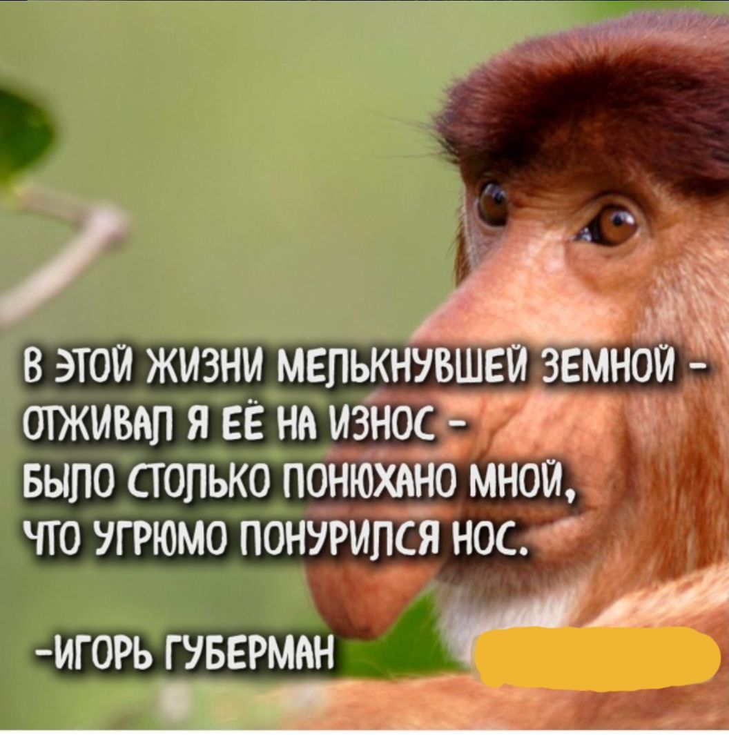БЫЛО столько_пон что угрюмо ИГ0РЬ ГУБЕРМИН
