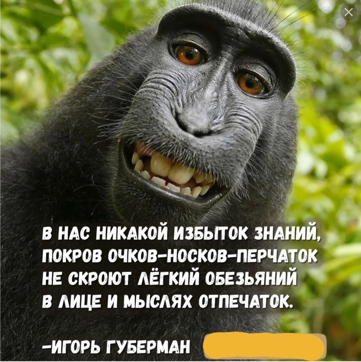 и в им иикдкой извьпок ндііи покров очков носков пврчлцз и скроют АЁгкий овньяиии в лице и иысдях отпечдток 13 игогь гуверидн