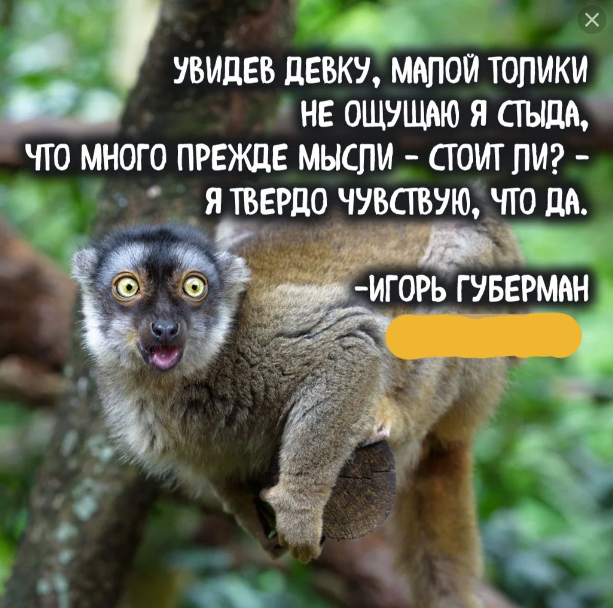 увидев девку малой топики нв ощущаю я пыщ что много прежде мыспи сгоиг пы я ТВЕРДО ЧУВСШУЮ _ЧТО дд