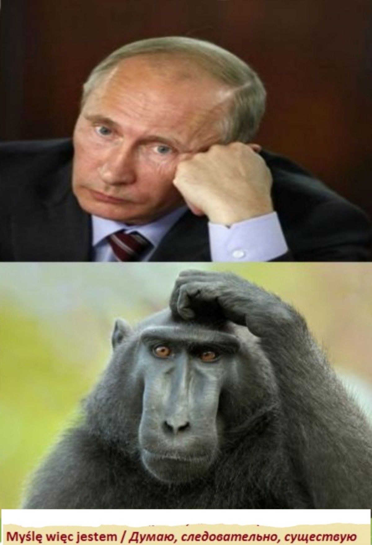 Муёіе мк іезкет Думаю медицптельно существую