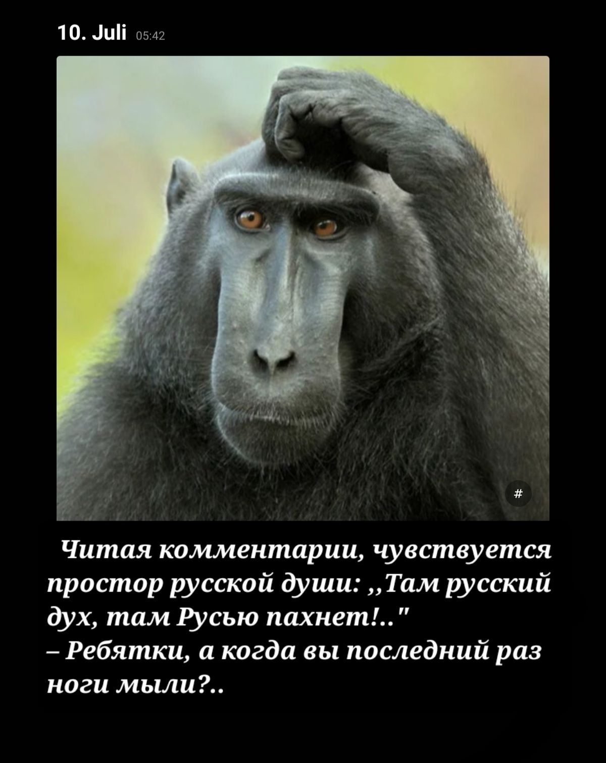 10 Шіі Читая комментарии чуствуется приспшр русской души Там русский дух там Русью пахнет Ребятки а когда вы последний раз ноги мыш