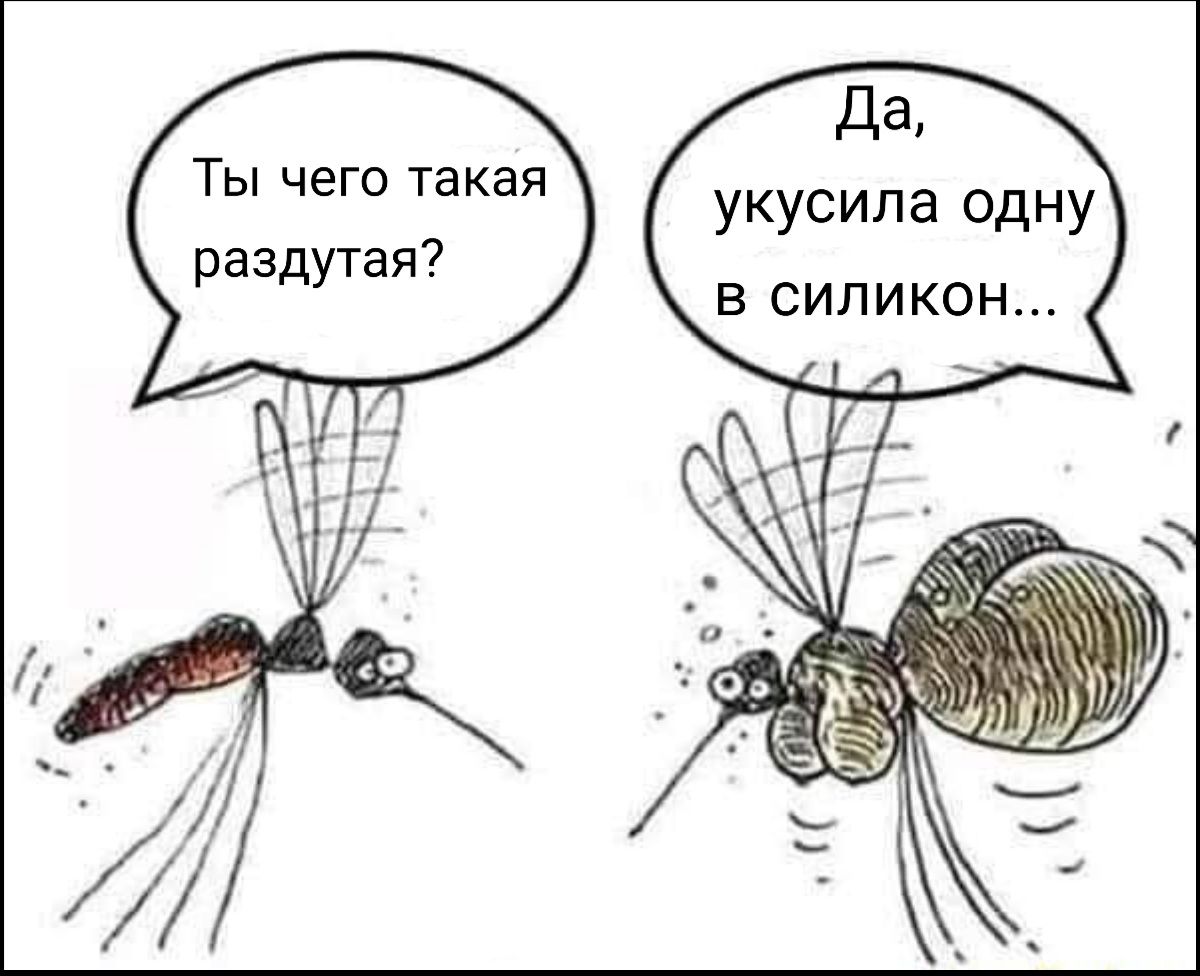 Ты чего такая раздутая да укусила одну В СИП ИКОН