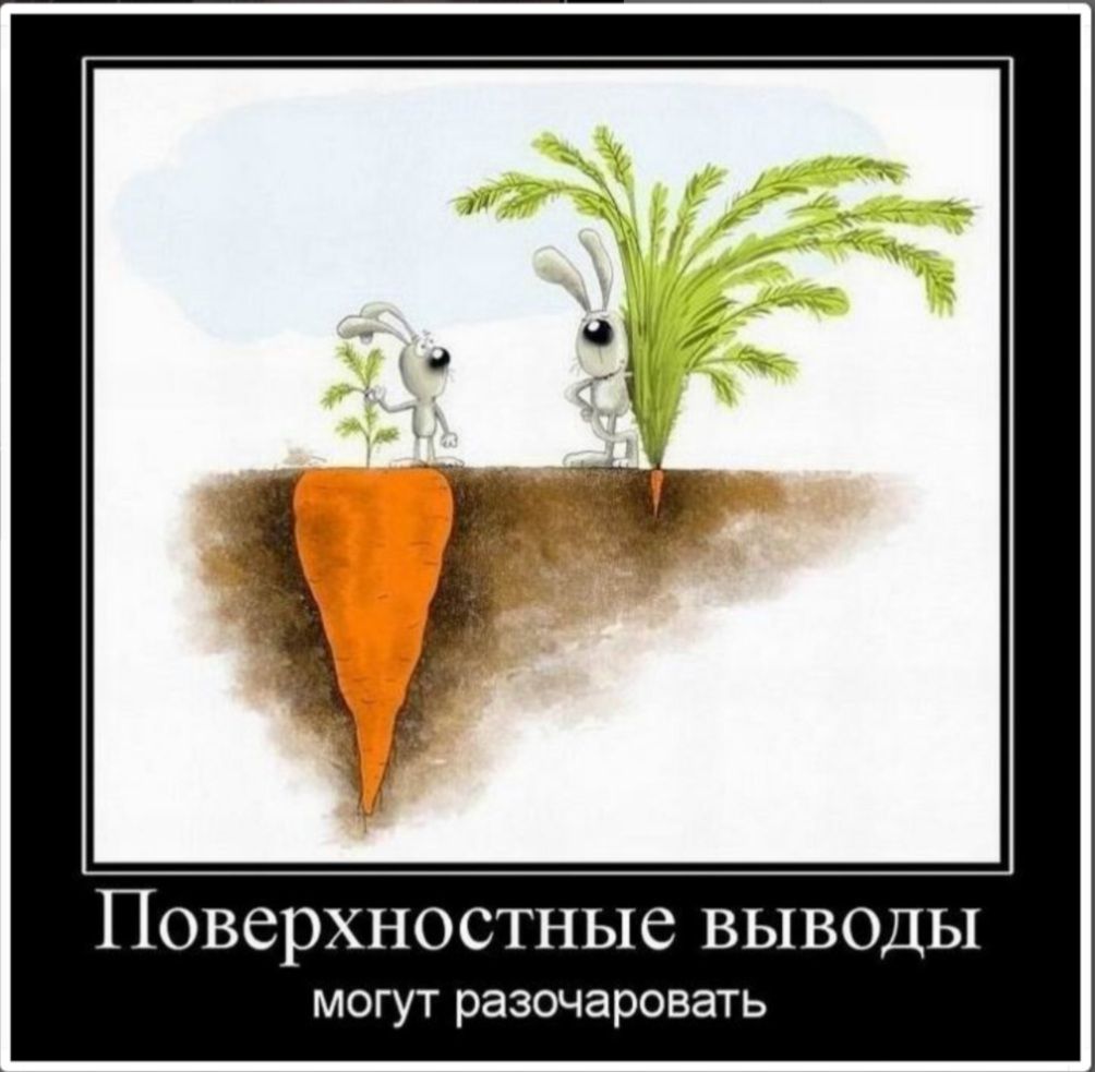 ПОВСРХНОСТНЫС ВЫВОДЫ могут разочаровать