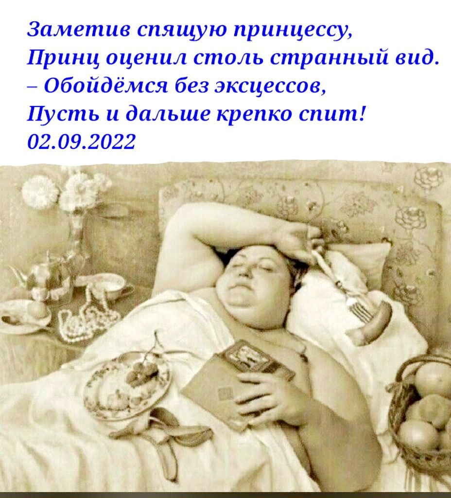 Заметив спящую принцессу Принц оценил столь странный вид _ Обойдёмся без эксцессов Пусть и дальше крепко спит 02092022