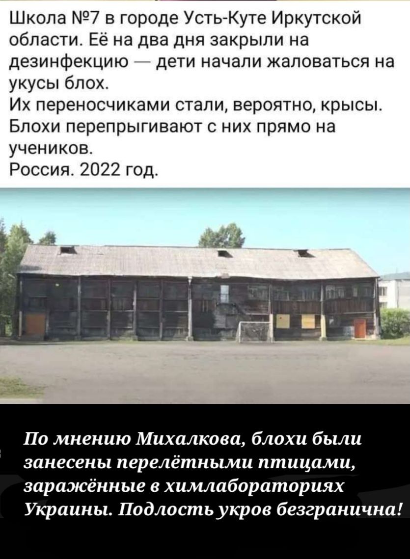 Школа 7 в городе Усть Куте Иркутской области Ее на два дня закрыли на дезинфекцию дети начали жаловаться на укусы блох Их переносчиками стали вероятно крысы Блохи перепрыгивают с них прямо на учеников Россия 2022 год л м По мнению Михалкова блохи были занесены перелёткыми птицами зарпжёкные химшборапшриях Украины Падлпстьукров безгранична