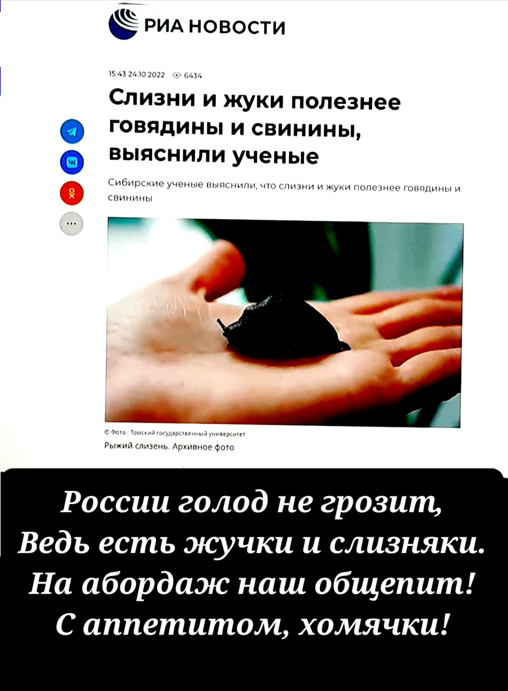 ь РИА новости Слизни и жуки полезнее говядины и свинины выяснили ученые России голод не грозит Ведь есть жучки и слизняки На абордаж наш общепит С аппетитом хомячки