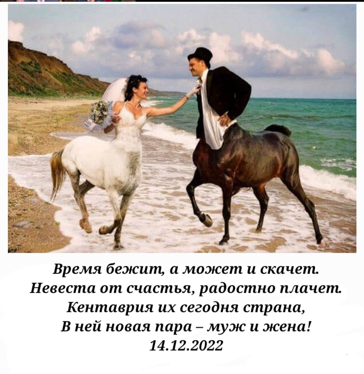 Бремя бежит а может и скачет Невеста от счастья радостно плачет Кентаврия их сегодня страна В ней копия пара муж и жена 1 4 122022