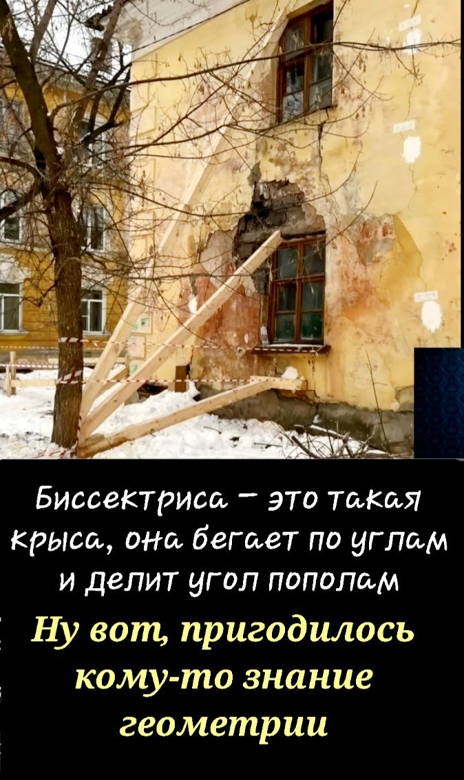 Биссектриссь это Такт крыш они бегает по углом и делит угол пополам Ну вот пригодилось кому то знание геометрии