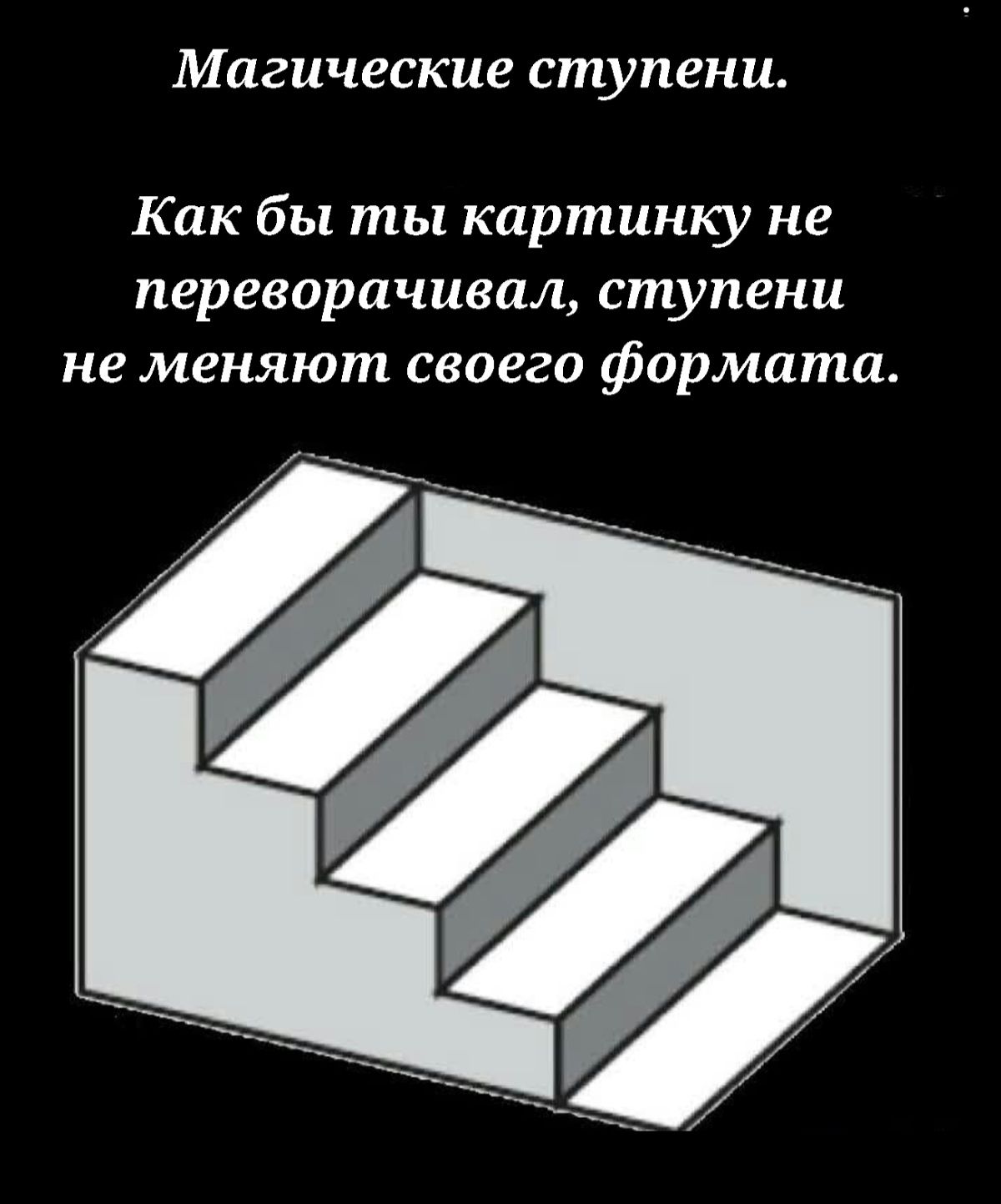 Магические ступени Как бы ты картинку не переворачивал ступени не меняют своего формата