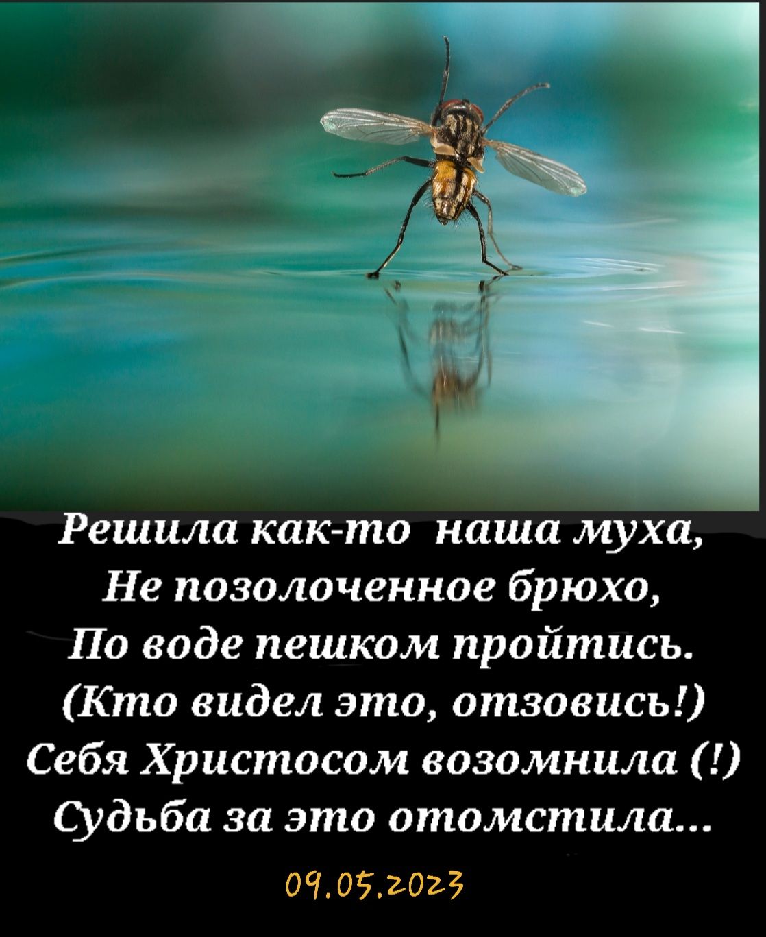 Решила как то наша муха Не позолоченное брюхо По воде пешком пройтись Кто видел это отзовись Себя Христовом возомнили судьба за это отомстила 01051073