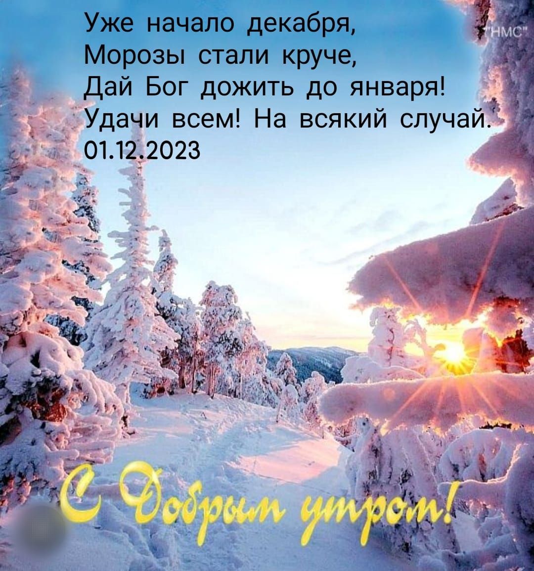 Уж начало декабря Морозы стали круче _ Дай Бог дожить до января в у н 4 5 дяди всем а всякии случаи _отдюгз