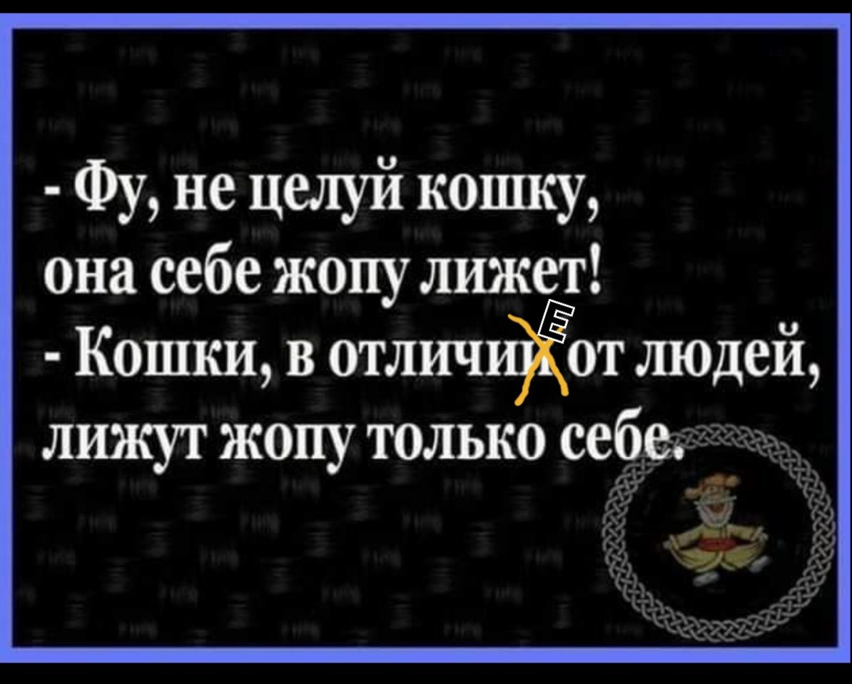 не целуй кошку она себе жопу лижет Кошки в тличпдЁот шодей лижут жопу только себе