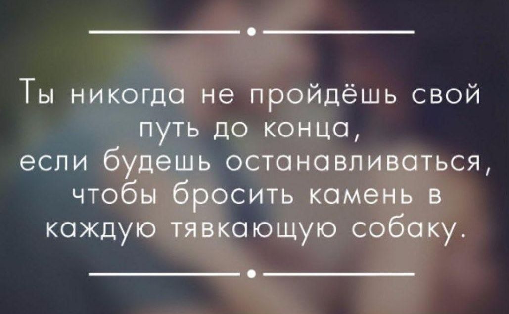 Ты никогда не пройдёшь свой путь до конца если будешь останавливаться чтобы бросить камень в каждую тявкающую собаку