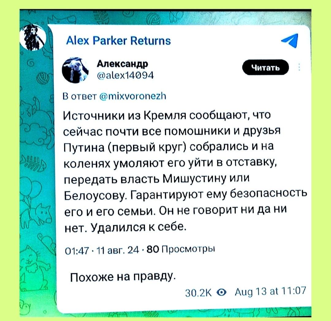 Аех Рамкег Вешгп Александр енекиоба Э В ответ тхуогопег Источники из Кремля сообщают что сейчас почти все помошники и друзья Путина первый круг собрались и на коленях умоляют его уйти в отставку передать власть Мишустину или Белоусову Гарантируют ему безопасность его иего семьи Он не говорит ни да ни нет Удалился к себе 0147 11 авг 24 80 Просмотры 