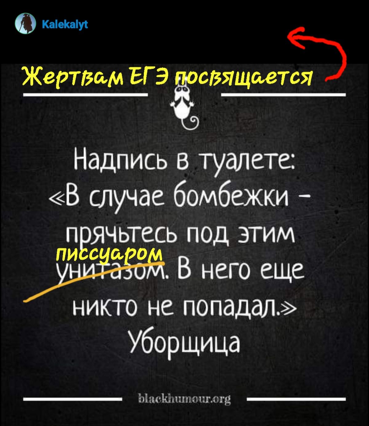 оее Жертвем ЕГЭ ёсвящттся Надпись в туалете В случае бомбежки ячьтесь под этим СЧе 20 В него еще никто не попадал Уборщица Ыаеинтон отй