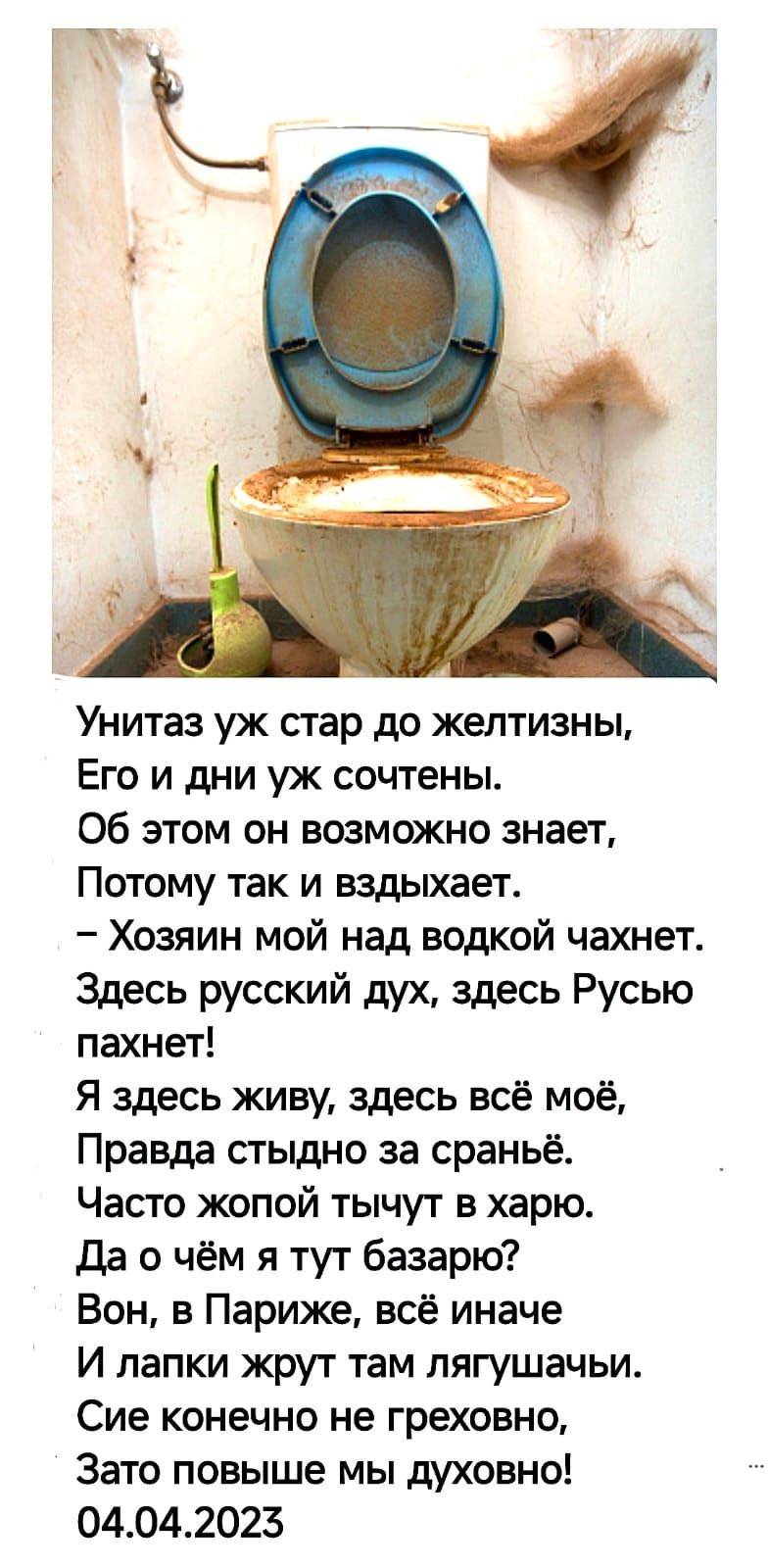 Унитаз уж стар до желтизны Его и дни уж сочтены Об этом он возможно знает Потому так и вздыхает Хозяин мой над водкой чахнет Здесь русский дух здесь Русью пахнет Я здесь живу здесь всё моё Правда стыдно за сраньё Часто жопой тычут в харю Да о чём я тут базарю Вон в Париже всё иначе И лапки жрут там лягушачьи Сие конечно не греховно Зато повыше мы д