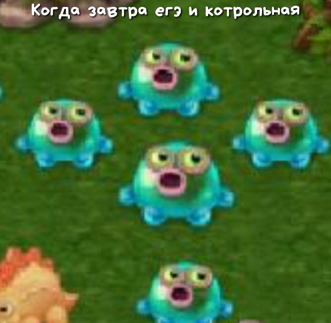 дтрог егэ и котрольнея