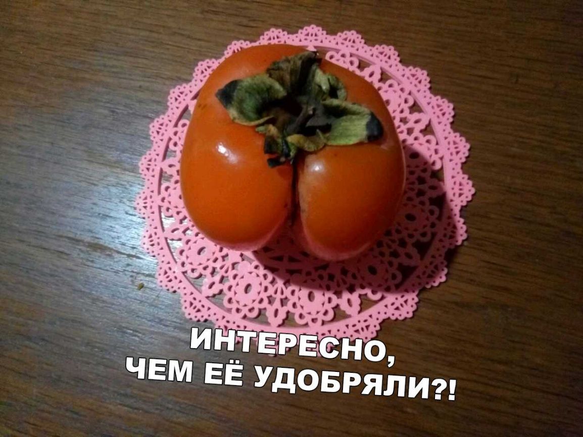 ЁЁ УдОБРЯЛИ