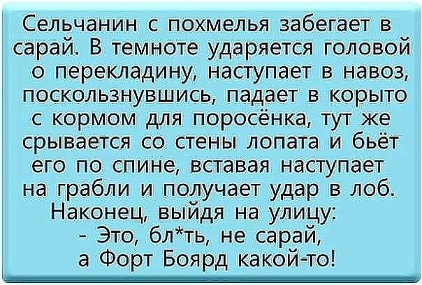 Сельчанин с похмелья забегает в сарай В темноте ударяется головой о перекладину наступает в навоз поскользнувшись падает в корыто с кормом для поросёнка тут же срывается со стены лопата и бьёт его по спине вставая наступает на грабли и получает удар в лоб Наконец выйдя на улицу Это бл ть не сарай а Форт Боярд какой то