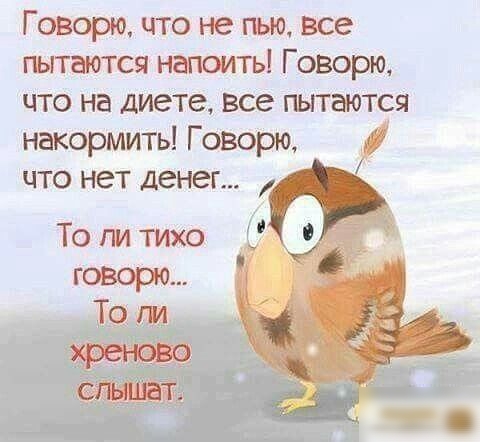 Говорю что не пью все гъгтаются напоить Говорю что на диете все пытается накормить Говорю цто нет денег То ли тихо