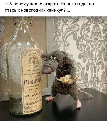 7 А почему после старого Невою года нет старых новогодних каникул