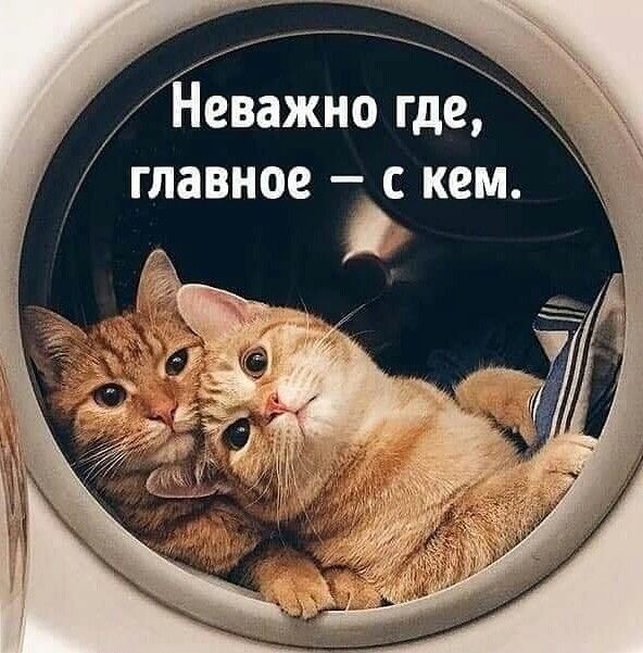 А Неважно где главное _ С КЕМ