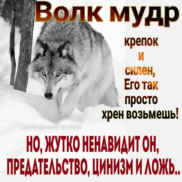 крепок и силен _ Его так _ просто хрен возьмешь Н0ЖУТК0НЕНАВИАИТ0Н ПРЕААТЕАЬСТВО ЦИНИЗМ ИАОЖЬ