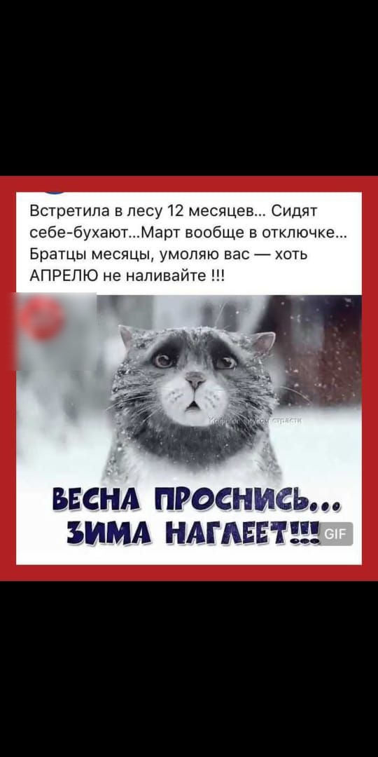 Встретила в лесу 72 месяцев Сидят себейбухаютМарт вообще в отключке Братцы месяцы умоляю вас хоть АПРЕПЮ не напивайте ВЕСНА ПРОСНИСЬ ЪИМА НАГАЕЕТ