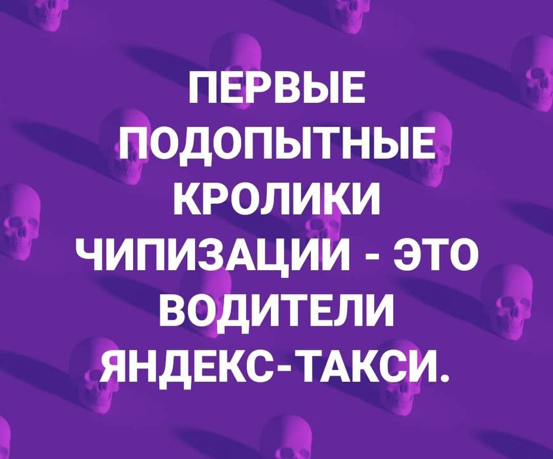 г ПЕЁВЫЕ одопытнывіе д кролики чипиздций это во итвли ндЕКС ТАкоги