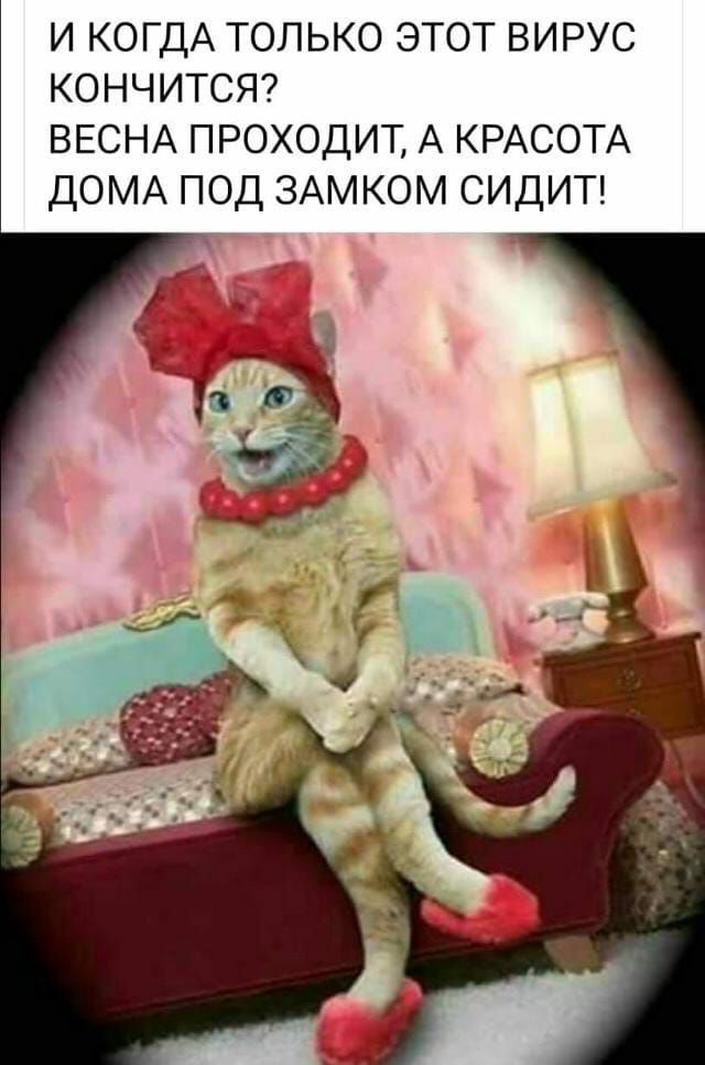 И КОГДА ТОЛЬКО ЭТОТ ВИРУС КОНЧИТСЯ ВЕСНА ПРОХОДИТ А КРАСОТА ДОМА ПОД ЗАМКОМ СИДИТ