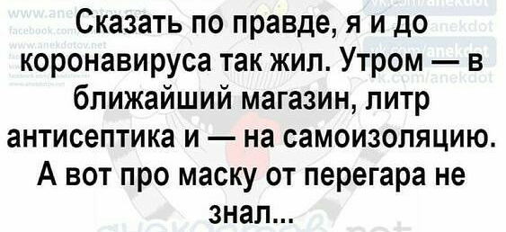 Сказать по правде я и до коронавируса так жил Утром в ближайший магазин литр антисептика и на самоизоляцию А вот про маску от перегара не знал