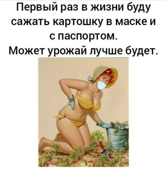 Первый раз в жизни буду сажать картошку в маске и с паспортом Может урожай дусщудет