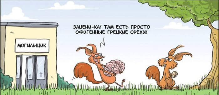 КА ТАМ ЕСТЬ ПРОСТО ОФИГЕЦЦЫЕ ГРЕЦКИЕ ОРЕХ