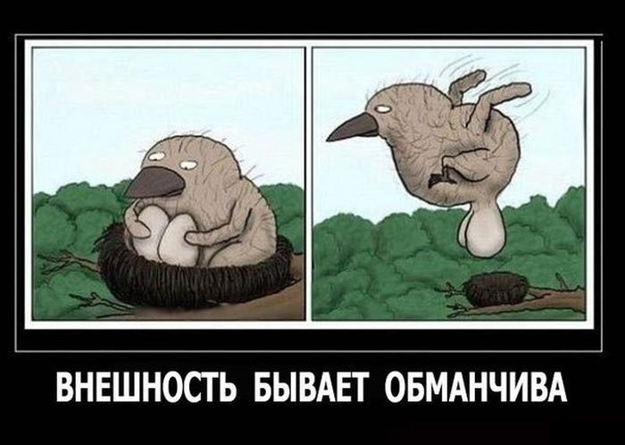 ВНЕШНОСТ Ь БЫВАЕТ ОБМАНЧИВА