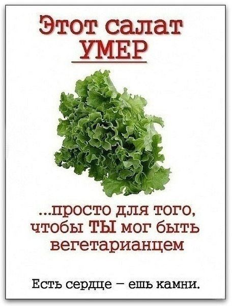 Этот салат УМЕР просто для того чтобы ТЫ мог быть вегетарианцем ЕСТЬ сердце _ ешь КВМНИ