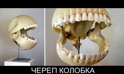 ж 7 іі
