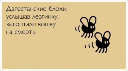 Дагестанские бюхи умышав Аезгинку затоптаАи кошку на смерть Ц ЦК