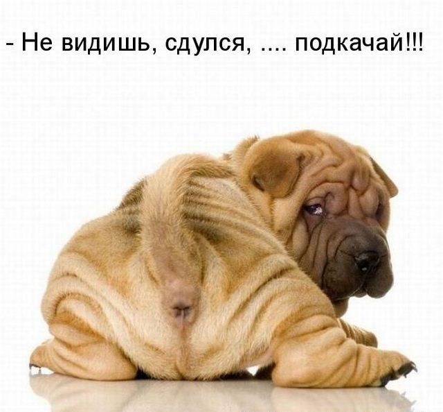 Не видишь сдулся подкачай