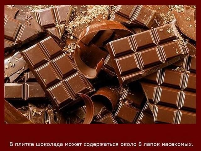 А ад Мгн их в плитке шоколада может содержаться около лапок насекомых