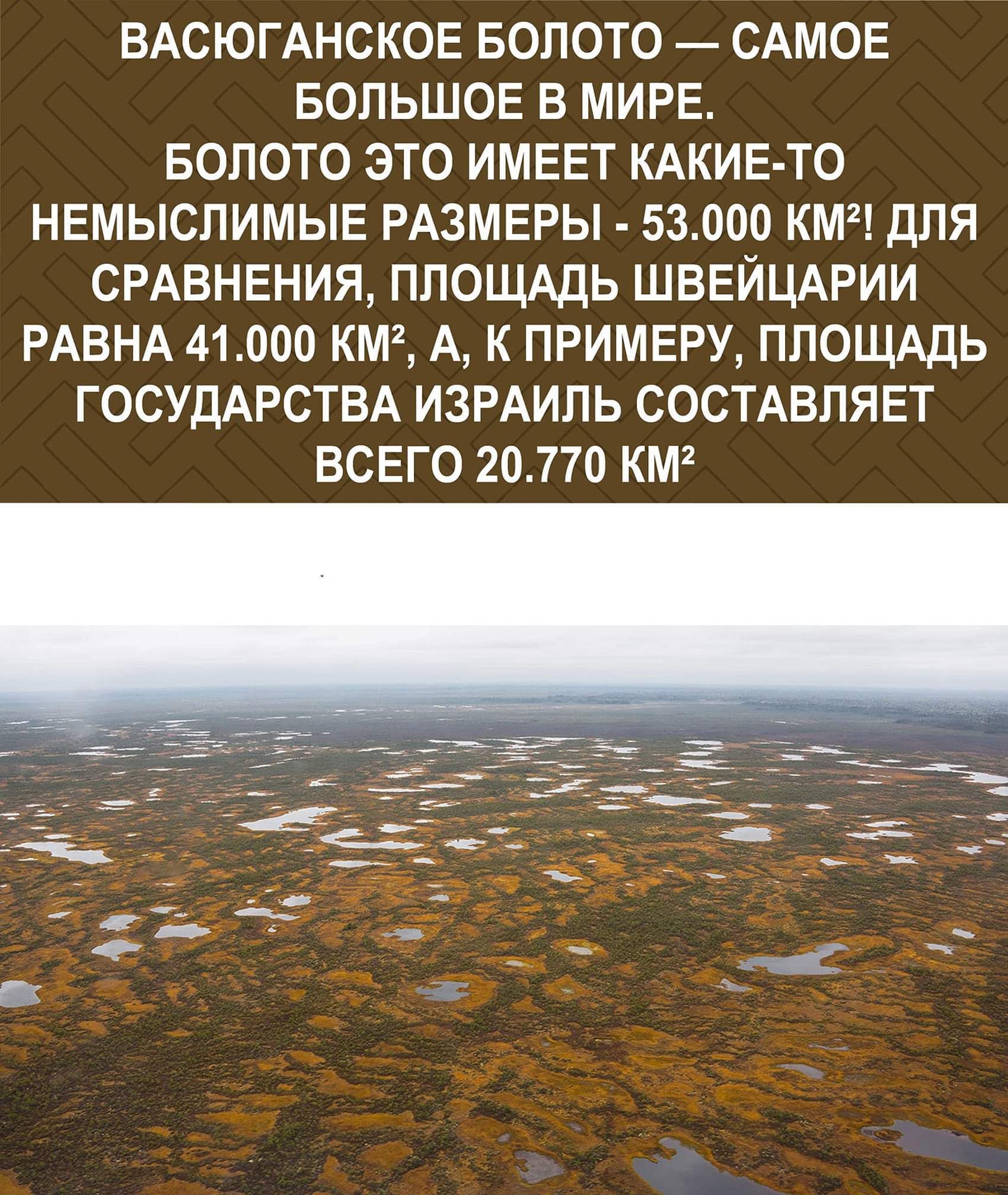 ВАСЮГАНСКОЕ БОЛОТО САМОЕ БОЛЬШОЕ В МИРЕ БОЛОТО ЭТО ИМЕЕТ КАКИЕ ТО НЕМЫСЛИМЫЕ РАЗМЕРЫ 53000 КМ2 ДЛЯ СРАВНЕНИЯ ПЛОЩАДЬ ШВЕЙЦАРИИ РАВНА 41000 КМ2 А К ПРИМЕРУ ПЛОЩАДЬ ГОСУДАРСТВА ИЗРАИЛЬ СОСТАВЛЯЕТ ВСЕГО 20770 КМ2