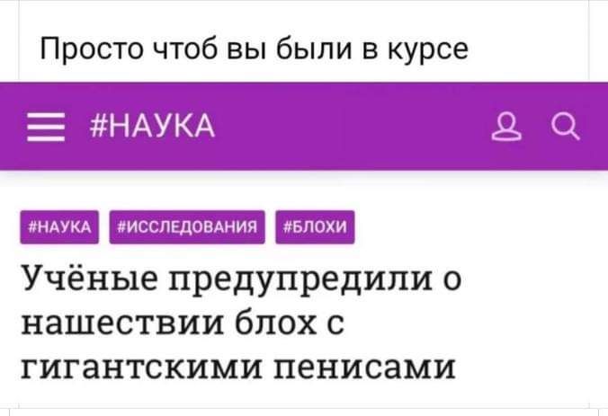 Просто чтоб вы были в курсе Е НАУКА 8 ИССЛЕДОВАНИЯ БПОХИ Учёные предупредили о нашествии блох с гигантскими пенисами