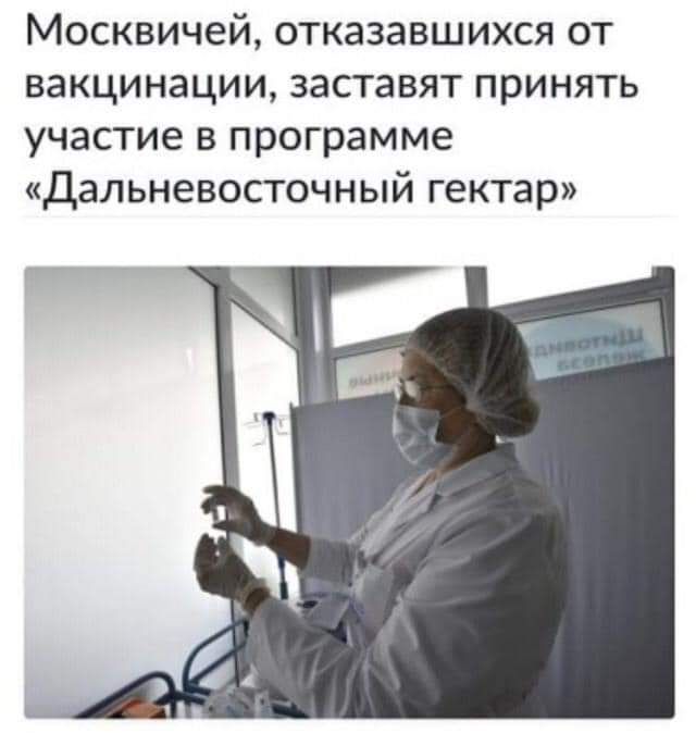 Москвичей отказавшихся от вакцинации заставят принять участие в программе Дальневосточный гектар