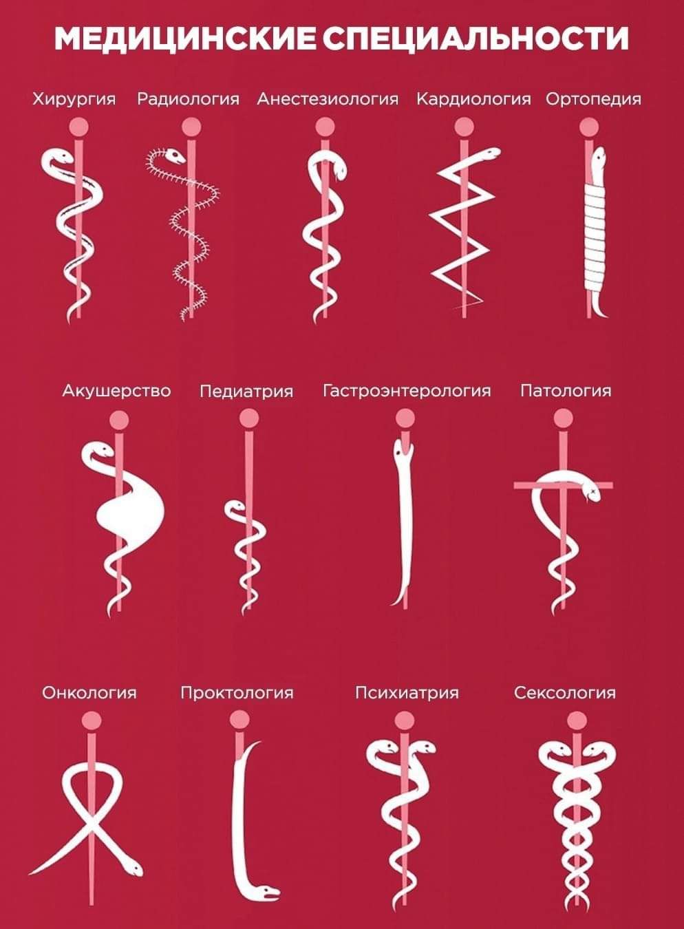 МЕДИЦИНСКИЕ СПЕЦИАЛЬНОСТИ Хирургия Радиология Анестезиология Кардиология Ортопедия Акушерство Педиатрия Гастроэнтерология Патология Онкология Проктология Психиатрия Сексология МП