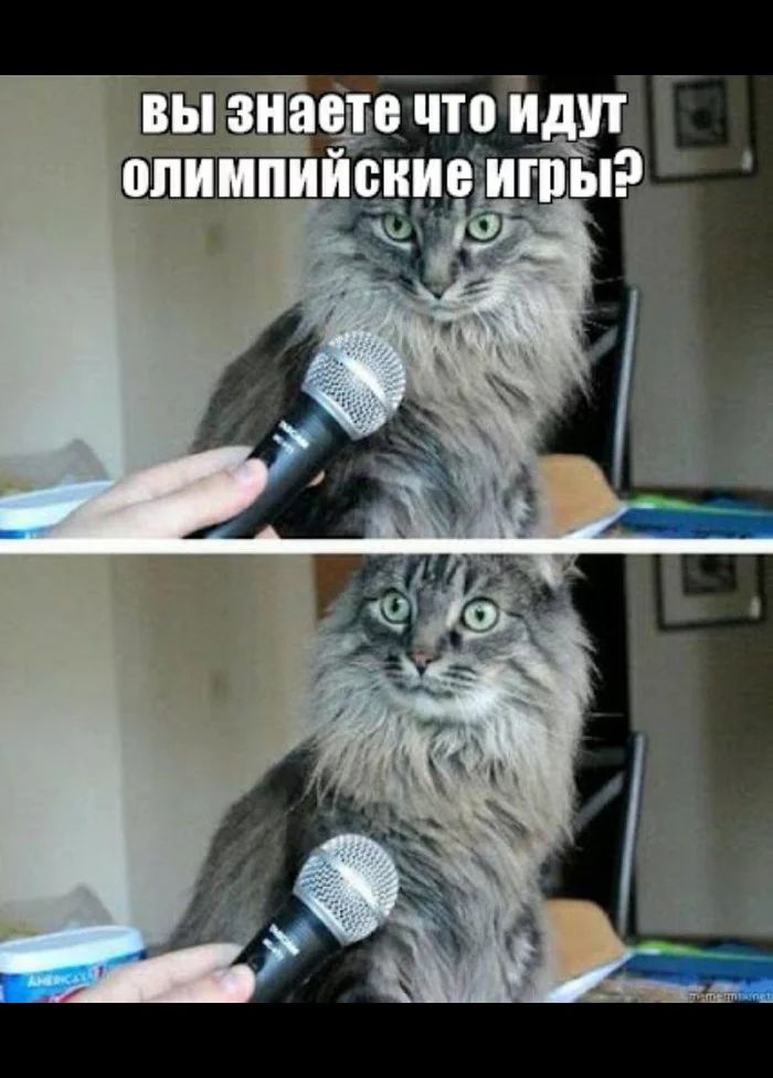 Чтойдуй иреишд 