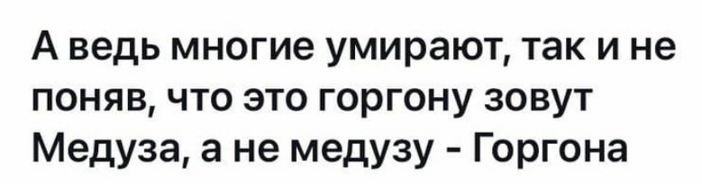 А ведь многие умирают так и не поняв что это горгону зовут Медуза а не медузу Горгона