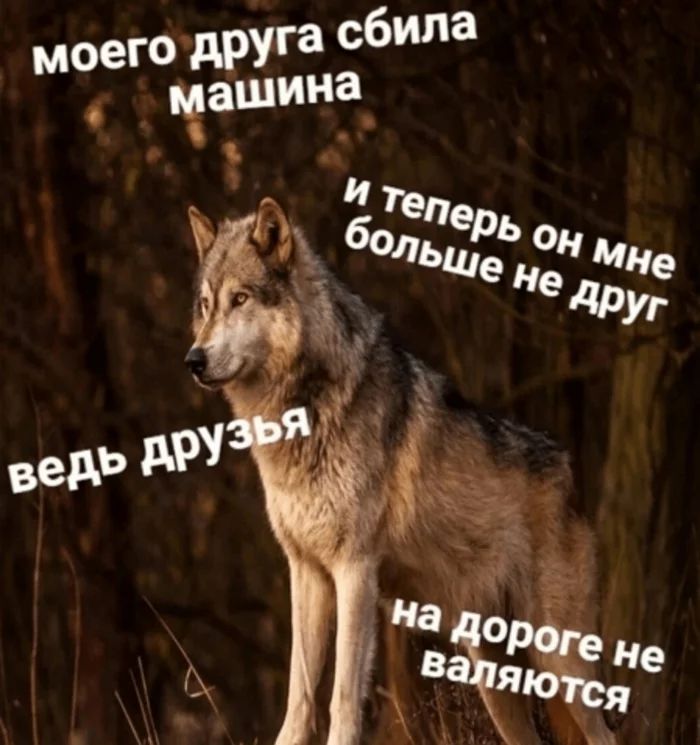 моего друга Сб Чащина