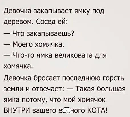 Девочка закапывает ямку под деревом Сосед ей Что закапываешь Моего хомячка Что то ямка великовата для хомячка Девочка бросает последнюю горсгь земли и отвечает Такая большая ямка потому что мой хомячок ВНУТРИ вашего еЭого КОТА