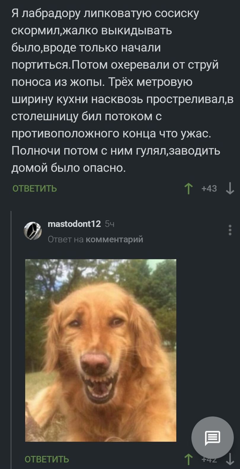 Я лабрадору пипковатую сосиску скормипжапко выкидывать быловроде только начали портитьсяПотом охеревапи от струй поноса из жопы Трёх метровую ширину кухни насквозь простреливалв столешницу бил потоком с противоположного конца что ужас Полночи потом с ним гупяпзаводить домой было опасно отввтить Т 43 1 тазіосіопп2 БЧ Ответ на комментарий ОТВЕТИТЬ