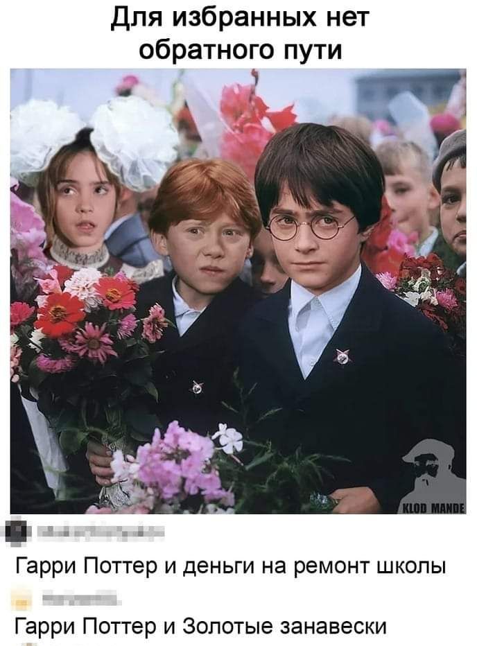 Для избранных нет обратного пути Гарри Поттер и деньги на ремонт школы Гарри Поттер и Золотые занавески
