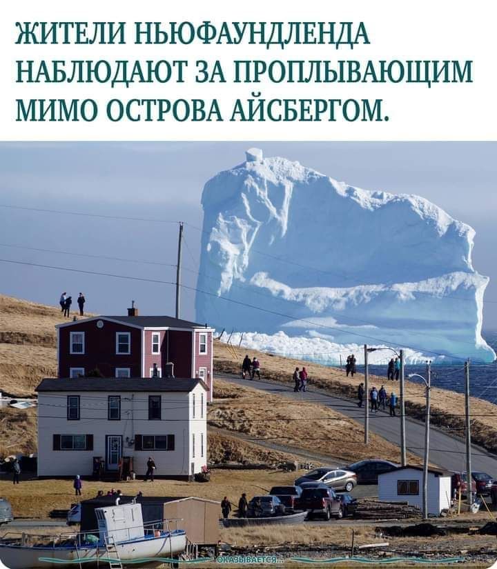 житвли НЬЮФАУНДЛЕНДА НАБЛЮДАЮТ ЗА ПРОПЛЫВАЮЩИМ мимо ОСТРОВА АИСБЕРГОМ